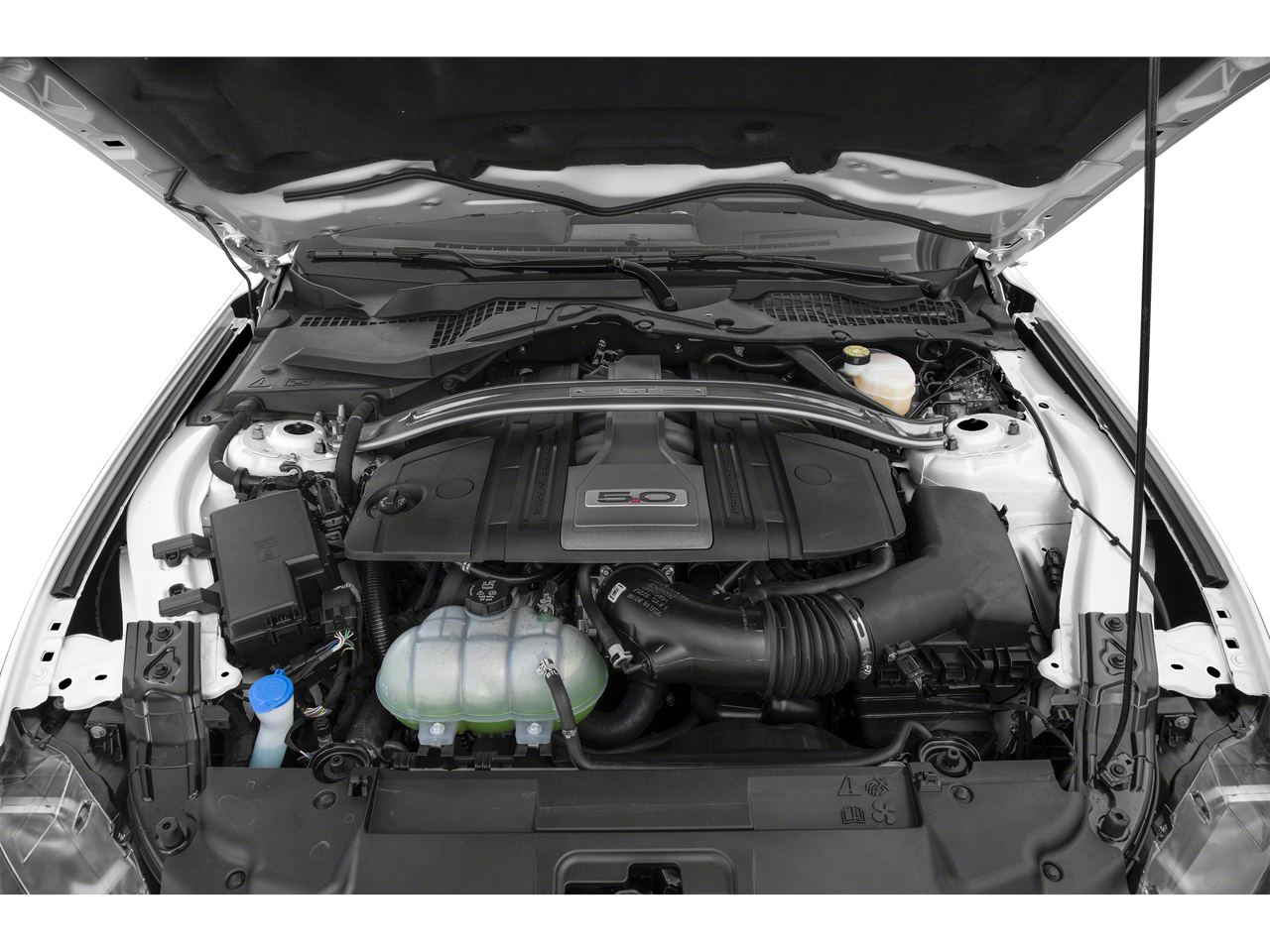 2019 Ford Mustang GT Premium California Special Package