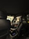 2024 Lincoln Navigator Premiere