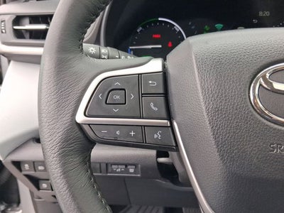 2025 Toyota Sienna XLE 8 Passenger