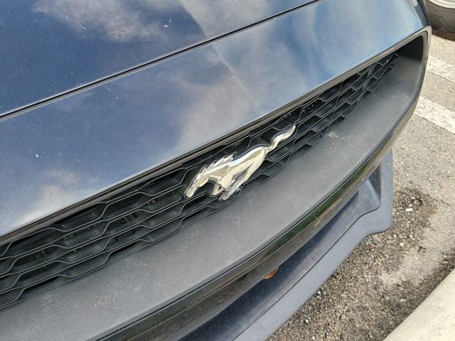 2019 Ford Mustang EcoBoost - Photo 8