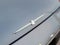 2005 Ford Thunderbird Base