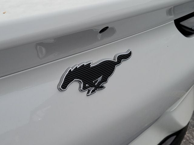 2024 Ford Mustang Mach-E Premium RWD - Photo 5