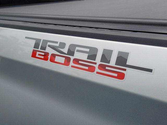 2020 Chevrolet Silverado 1500 LT Trail Boss - Photo 8