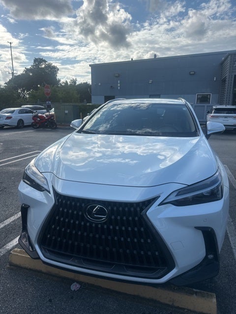 2025 Lexus NX 250 Base