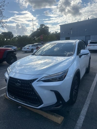 2025 Lexus NX 250 Base