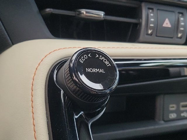 2024 Lexus NX 350 - Photo 25